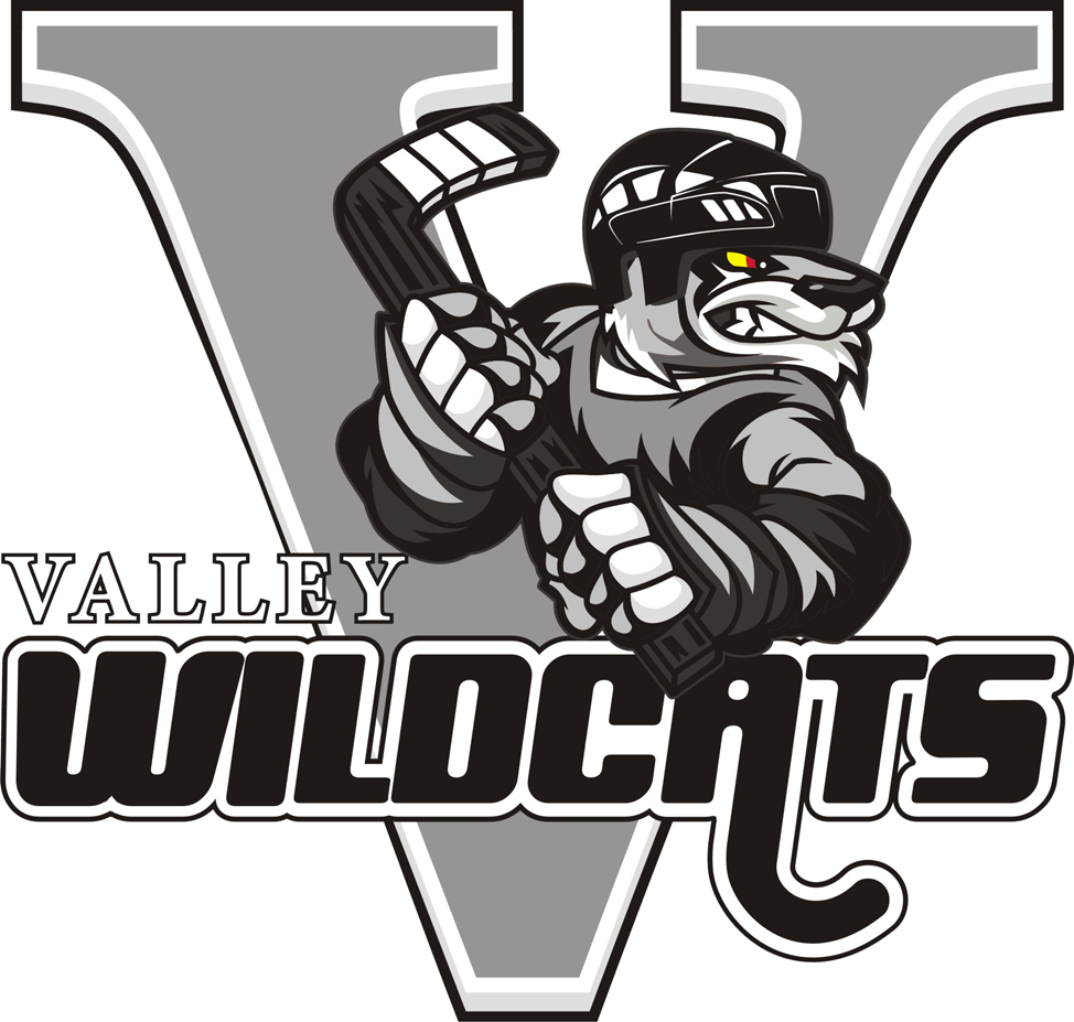 Valley Wildcats 2013-Pres Primary Logo v2 iron on heat transfer